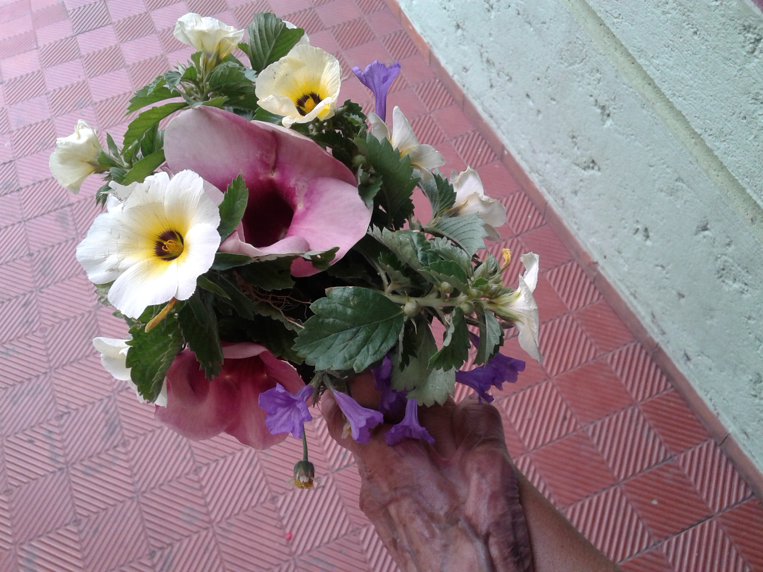 flores2